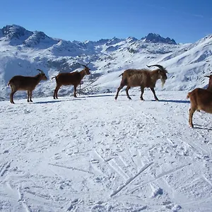 Bed and breakfast D'hotes Kiki & Coco, Saint-Jean-de-Maurienne